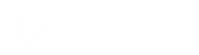 AmericanCyber